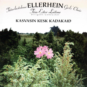 Veljo Tormis LOODUSPILDID "Kevadkillud" (J. Kaplinski), ÕHTUNE TAEVAS 夕べの空