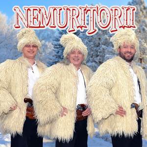 Seara-i sfanta de Craciun