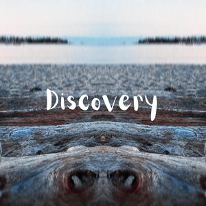 Discovery