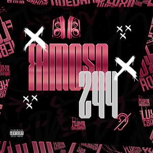 FAMOSO 244