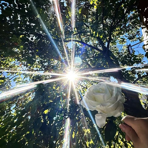 她的路，我们的光  梓渝