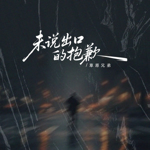 未说出口的抱歉