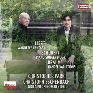 25 Variations and Fugue on a Theme by Handel, Op. 24:Variation 11
