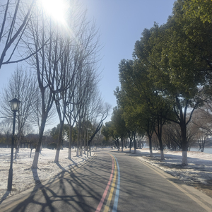 想听你亲口说_sq.wav