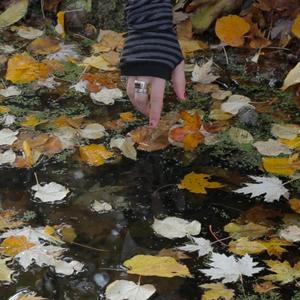 Bandwurm (feat. Aurgelmir)