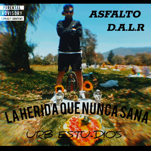 LA HERIDA QUE NUNCA SANA