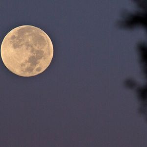 Valse de la Lune