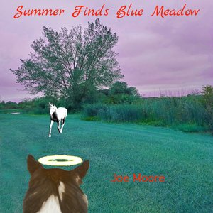 "Summer Finds Blue Meadow"