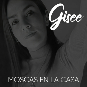 Moscas en la Casa