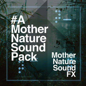 Distant Birds and Streams