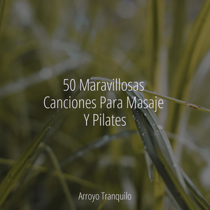 Tumbona Junto Al Lago