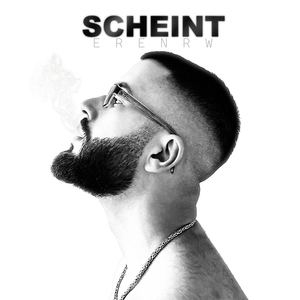 Scheint