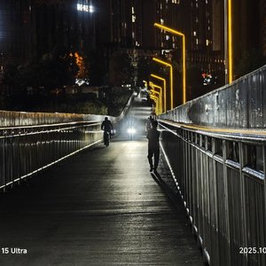 流干的泪结成冰