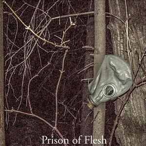 Prison of Flesh