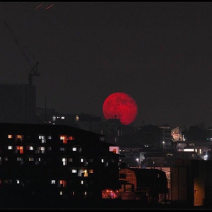 knuck if you buck location