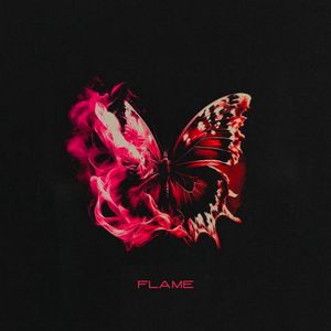 FLAME (Demo)