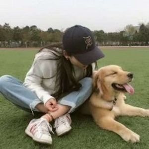 别怕我伤心旋律