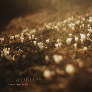 Dewdrops