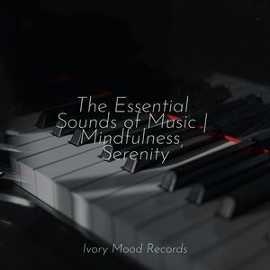 Drifting Dunescape Dream