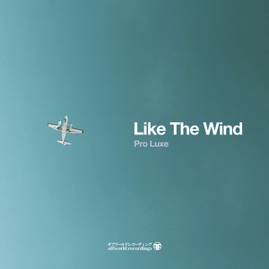 Like The Wind (Original Mix)