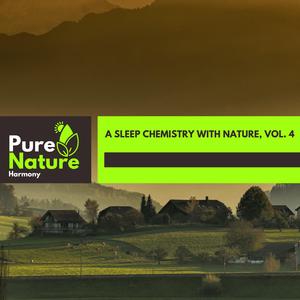 Pleasing Beach Ripple