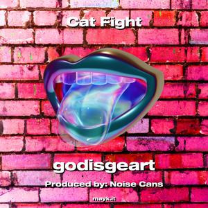Cat Fight