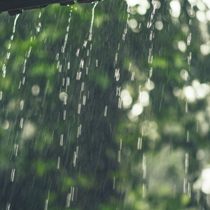 Lluvias Relajantes En El Bosque Pt.2