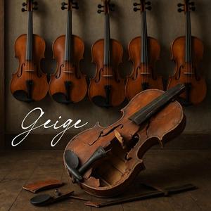 Geige