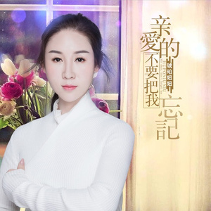 亲爱的不要把我忘记 (DJ何鹏版)