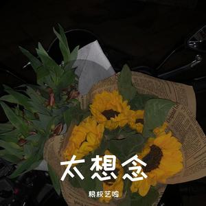 太想念（菲儿）