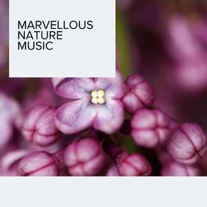 Bright Water Ripples