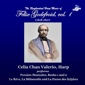 Pensées musicales, Book 1: VIII. Mystérieux vallon