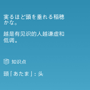 白鸥油画一整板