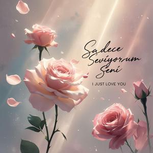 Sadece Seviyorum Seni