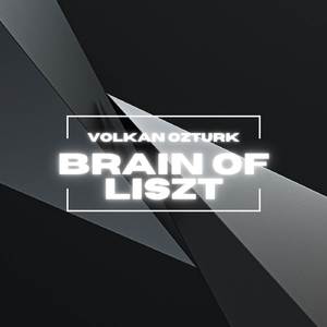 Transcendental Etudes, S. 139: No. 8 in C Minor, Wilde Jagd