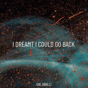 I Dreamt I Could Go Back