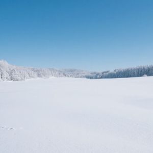 被爱时我们都是幼稚鬼