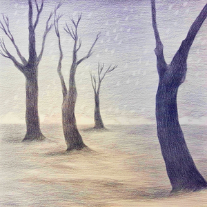 사라지지 않는 것