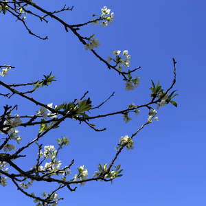 没有什么是永远的