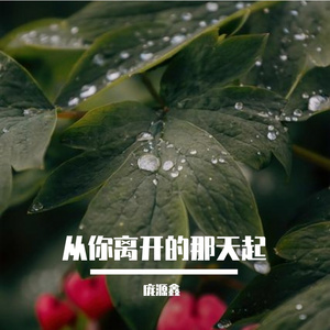 从你离开的那天起