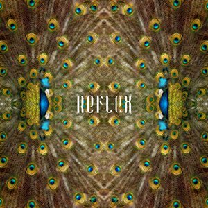 Reflex