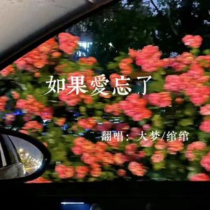 如果爱忘了 (live)