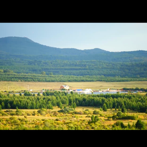 太聪明（cover：陈绮贞）