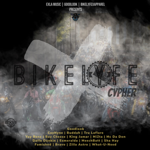 Bike LyfeX Cypher