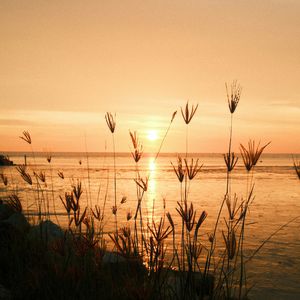 爱要大声说出口