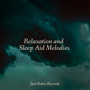 Enchanted Shrouds of Serenity