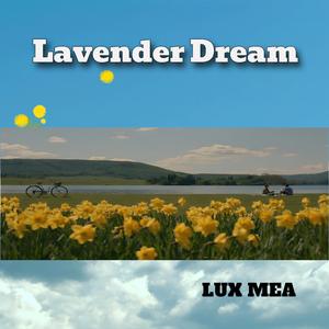 Lavender Dream