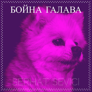Бойна Галава