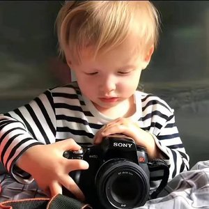 飞鸟与鱼不同路