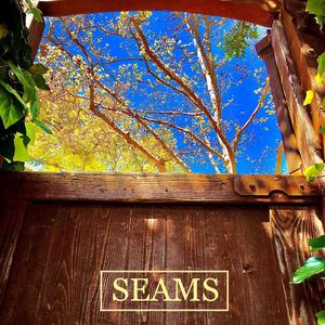 Seams